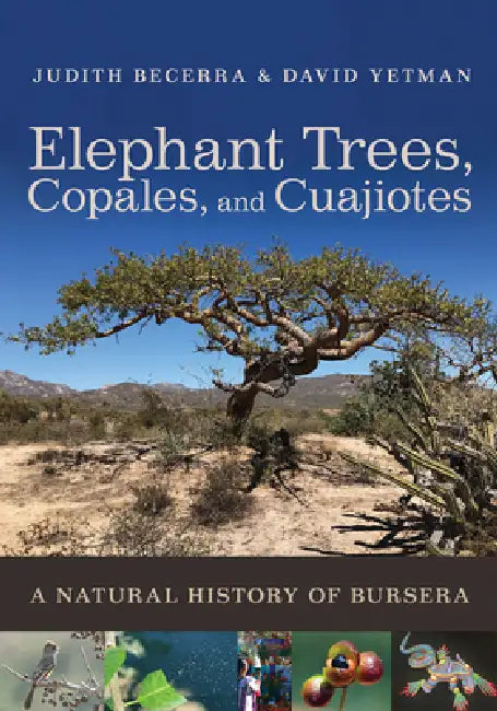 Buy Elephant Trees, Copales, and Cuajiotes (English, Judith X. Becerra | David Yetman | Exequiel Ezcurra) Online at Best Price - BookBajar