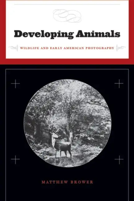 Buy Developing Animals (English, Matthew Brower) Online at Best Price - BookBajar