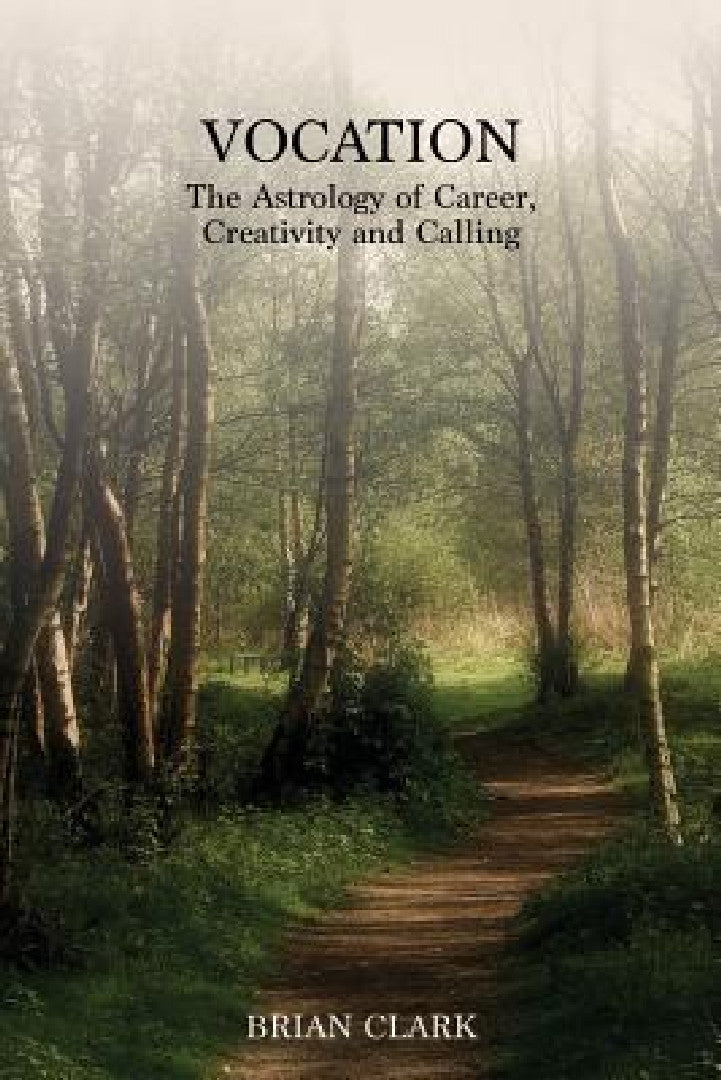 Buy Vocation (English, Brian Clark) Online at Best Price - BookBajar