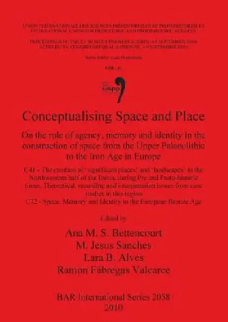 Buy Conceptualising Space and Place (English, Ana M. S. Bettencourt | M. Jesus Sanches | Lara B. Alves) Online at Best Price - BookBajar
