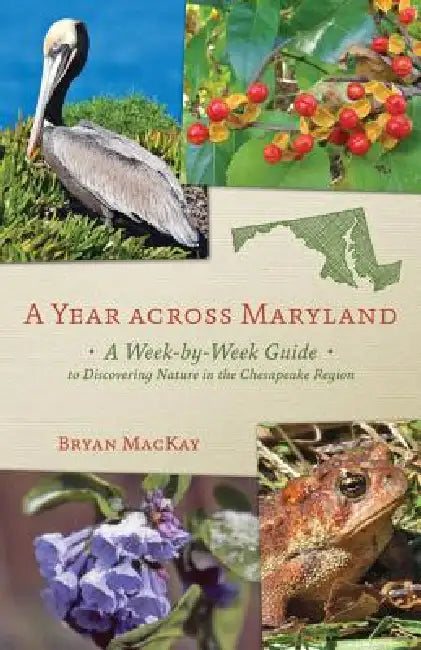 Buy A Year Across Maryland (English, Bryan MacKay) Online at Best Price - BookBajar