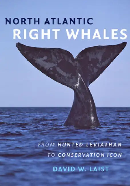 Buy North Atlantic Right Whales (English, David W. Laist) Online at Best Price - BookBajar