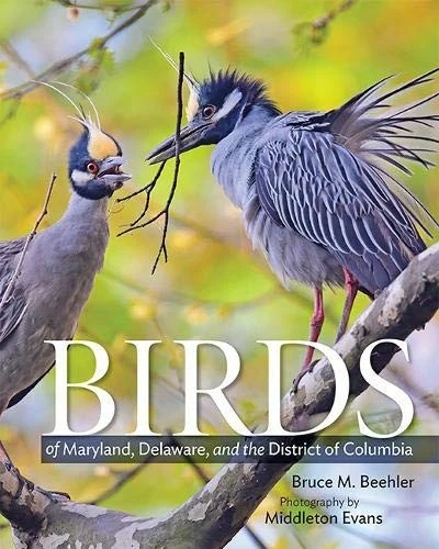 Buy Birds of Maryland, Delaware, and the District of Columbia (English, Bruce M. Beehler | Middleton Evans | Chandler S. Robbins) Online at Best Price - BookBajar