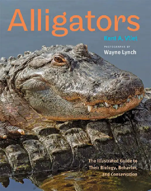 Buy Alligators (English, Kent A. Vliet | Wayne Lynch) Online at Best Price - BookBajar