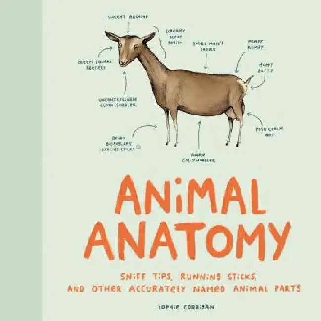 Buy Animal Anatomy (English, Sophie Corrigan) Online at Best Price - BookBajar