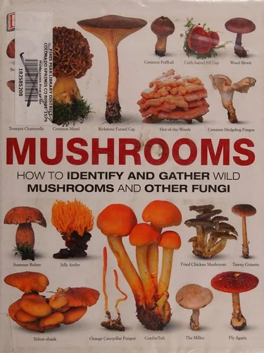 Buy Mushrooms (English, DK) Online at Best Price - BookBajar