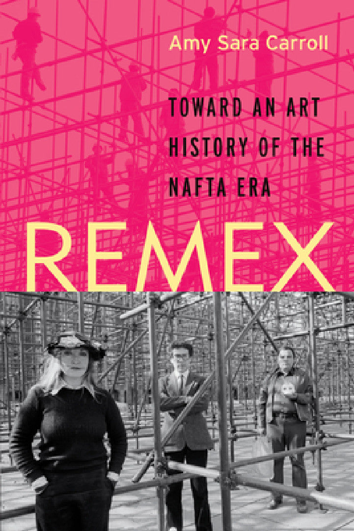 Buy Remex (English, Amy Sara Carroll) Online at Best Price - BookBajar