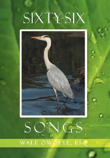 Buy Sixty-Six Songs (English, Wale Esq Owoeye) Online at Best Price - BookBajar