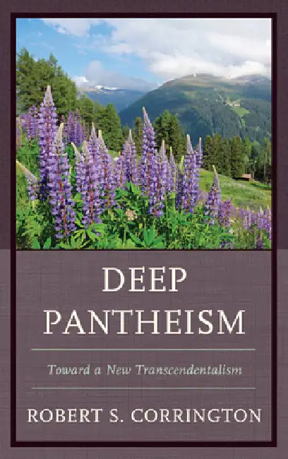 Buy Deep Pantheism (English, Robert S. Corrington) Online at Best Price - BookBajar