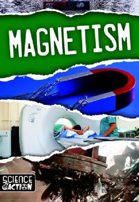 Buy Magnetism (English, Joanna Brundle) Online at Best Price - BookBajar