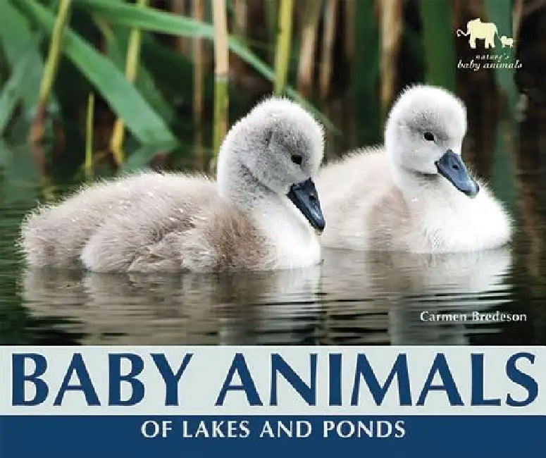 Buy Baby Animals of Lakes and Ponds (English, Carmen Bredeson) Online at Best Price - BookBajar