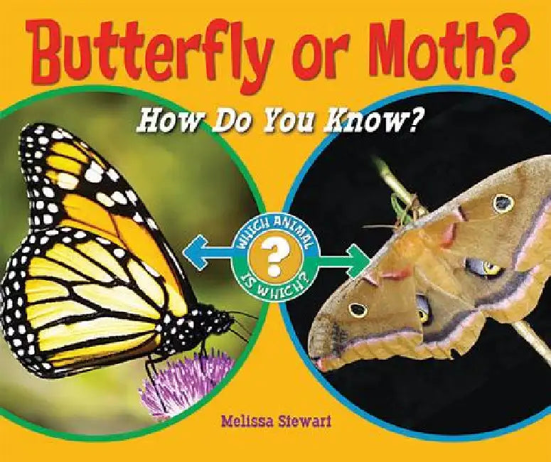 Buy Butterfly or Moth? (English, Melissa Stewart) Online at Best Price - BookBajar