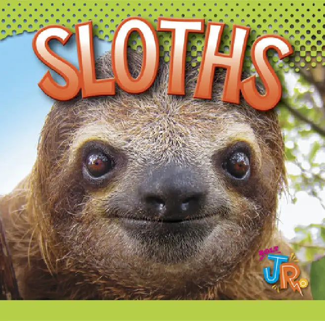Buy Sloths (English, Marysa Storm) Online at Best Price - BookBajar
