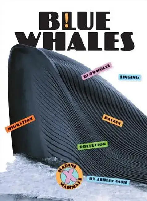 Buy Blue Whales (English, Ashley Gish) Online at Best Price - BookBajar