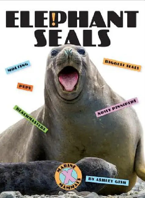 Buy Elephant Seals (English, Ashley Gish) Online at Best Price - BookBajar