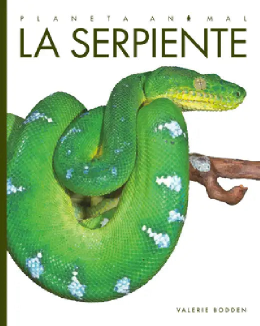 Buy La Serpiente (English, Valerie Bodden) Online at Best Price - BookBajar