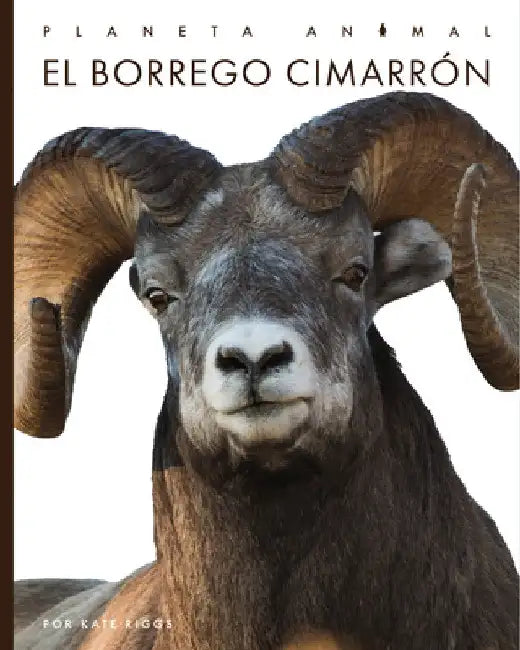 Buy El Borrego Cimarrón (English, Kate Riggs) Online at Best Price - BookBajar