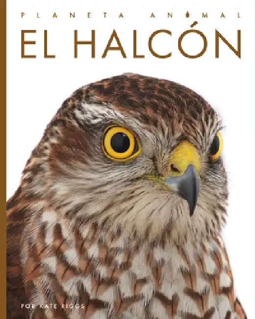 Buy El Halcón (English, Kate Riggs) Online at Best Price - BookBajar