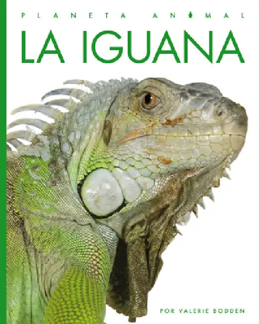 Buy La Iguana (English, Valerie Bodden) Online at Best Price - BookBajar