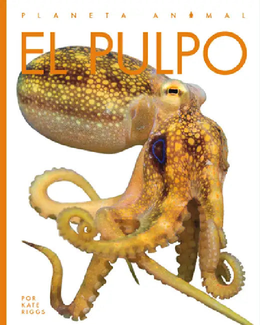 Buy El Pulpo (English, Valerie Bodden) Online at Best Price - BookBajar