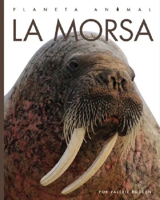 Buy La Morsa (English, Kate Riggs) Online at Best Price - BookBajar