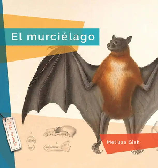 El Murciélago (English, Melissa Gish) - Image 1 - BookBajar