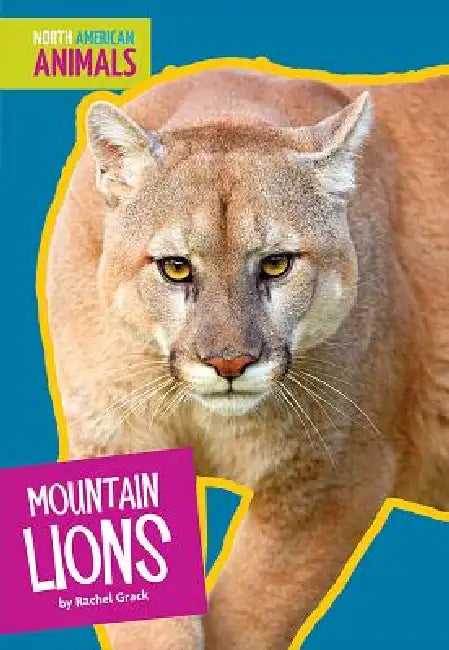 Buy Mountain Lions (English, Rachel Grack) Online at Best Price - BookBajar
