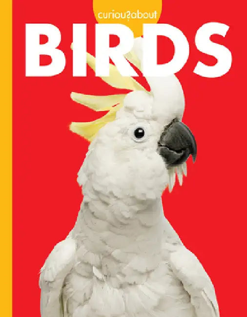 Buy Curious about Birds (English, Jill Sherman) Online at Best Price - BookBajar