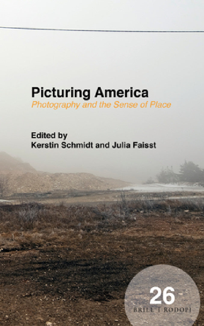 Buy Picturing America (English, Kerstin Schmidt) Online at Best Price - BookBajar