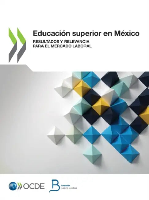 Educación Superior En México Resultados Y Relevancia Para El Mercado Laboral (English, Oecd) - Image 1 - BookBajar