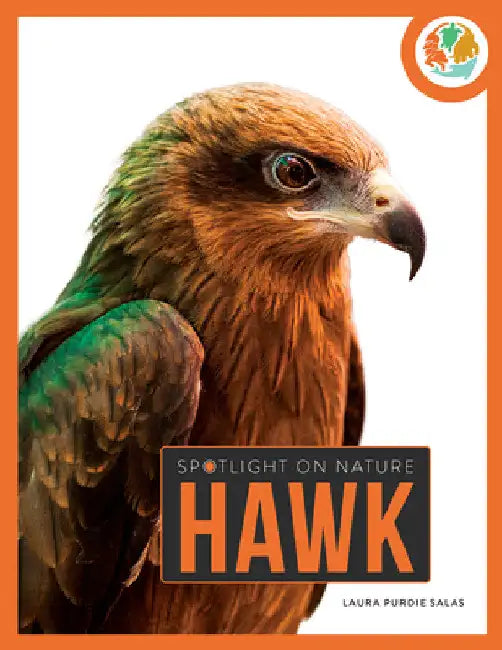 Buy Hawk (English, Laura Purdie Salas) Online at Best Price - BookBajar