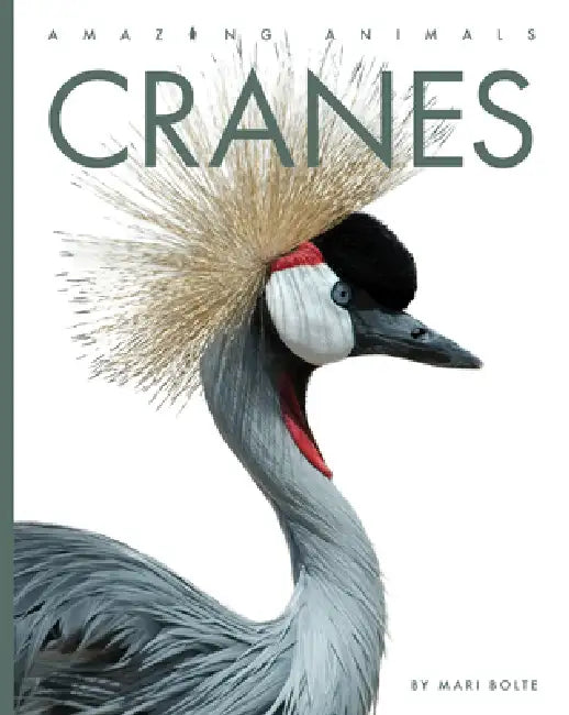 Buy Cranes (English, Mari Bolte) Online at Best Price - BookBajar