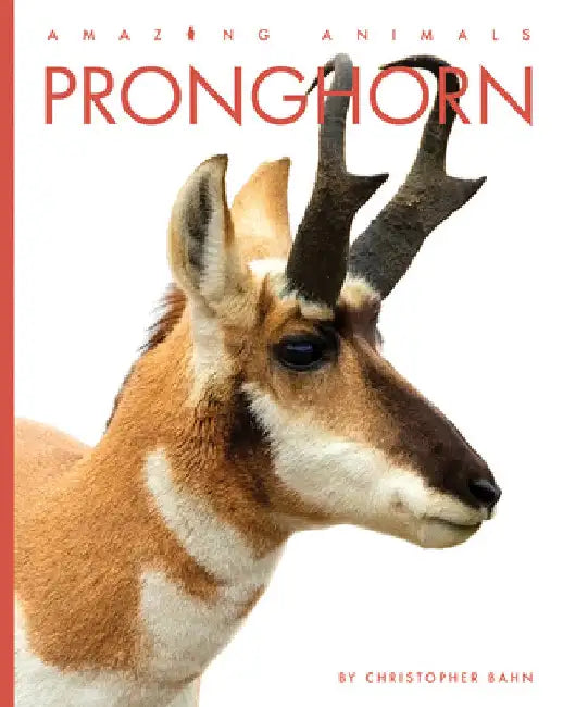 Buy Pronghorn (English, Christopher Bahn | Jeanine Murch) Online at Best Price - BookBajar