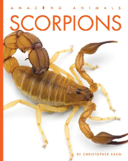 Buy Scorpions (English, Christopher Bahn | Jeanine Murch) Online at Best Price - BookBajar
