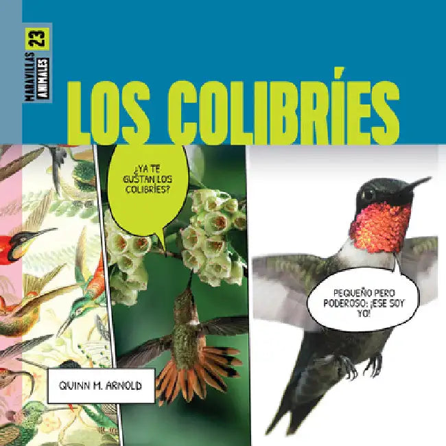 Buy Los Colibríes (English, Quinn M. Arnold) Online at Best Price - BookBajar