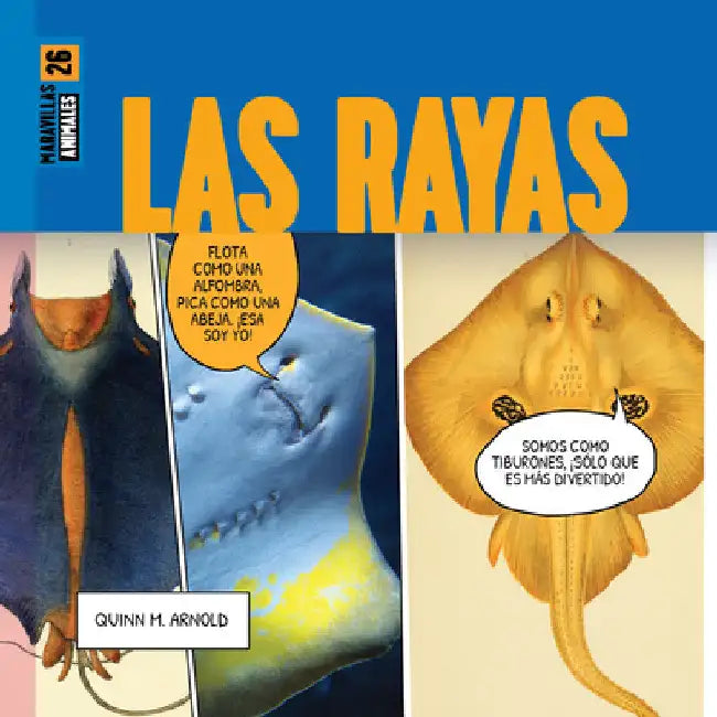 Buy Las Rayas (English, Quinn M. Arnold | Kugu Soykan) Online at Best Price - BookBajar