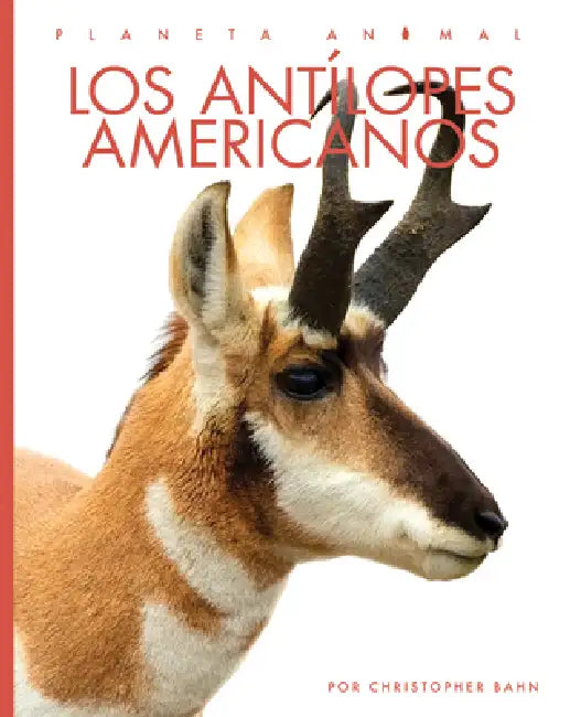 Buy Los Antílopes Americanos (English, Christopher Bahn) Online at Best Price - BookBajar