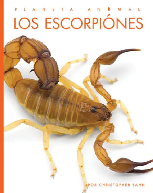 Buy Los Escorpiones (English, Christopher Bahn) Online at Best Price - BookBajar