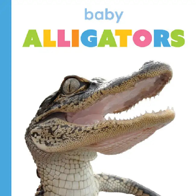 Buy Baby Alligators (English, Kim Thompson) Online at Best Price - BookBajar
