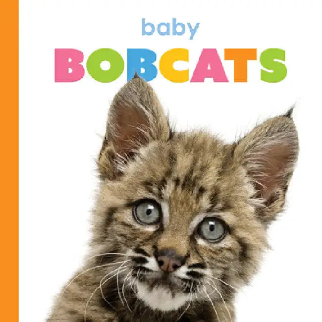 Baby Bobcats (English, Kim Thompson) - Image 1 - BookBajar