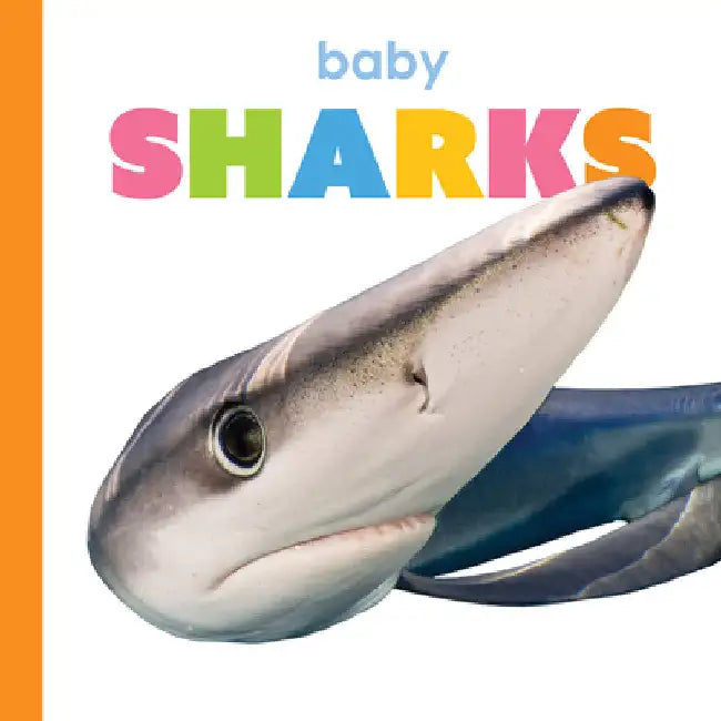 Buy Baby Sharks (English, Kim Thompson) Online at Best Price - BookBajar