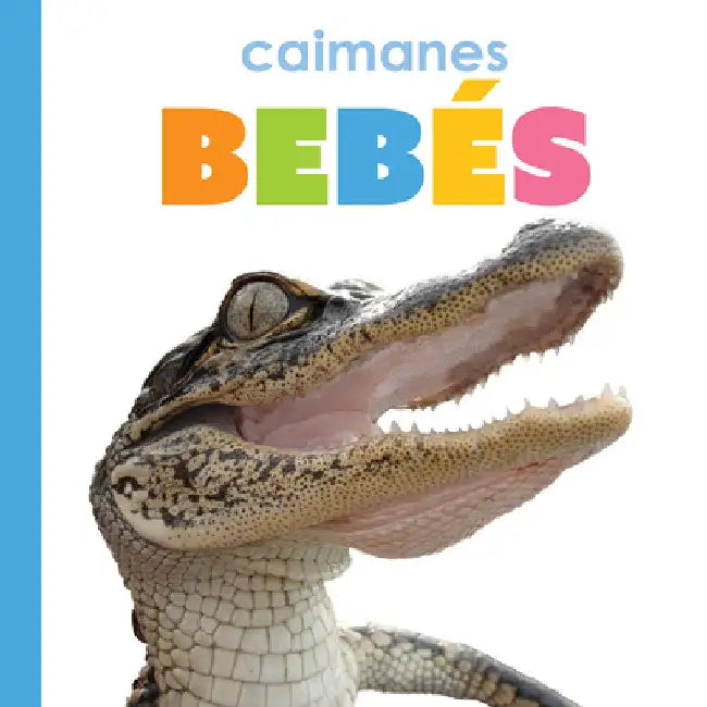 Buy Caimanes Bebés (English, Kim Thompson) Online at Best Price - BookBajar