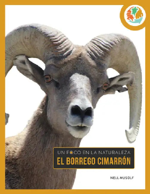 Buy El Borrego Cimarrón (English, Nell Musolf) Online at Best Price - BookBajar