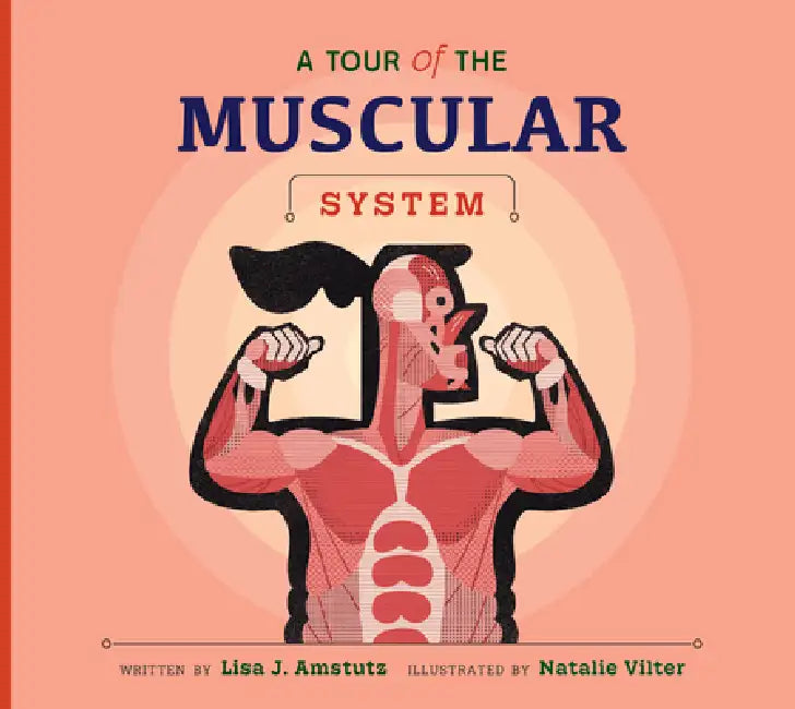 Buy A Tour of the Muscular System (English, Lisa J. Amstutz | Natalie Vilter) Online at Best Price - BookBajar