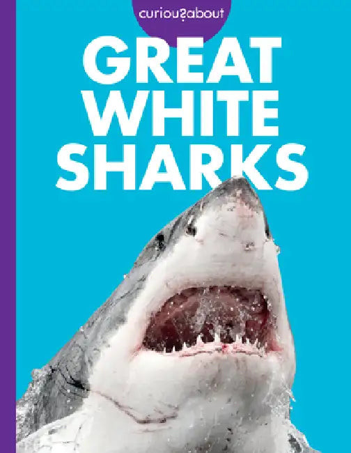 Buy Curious about Great White Sharks (English, Monika Davies) Online at Best Price - BookBajar