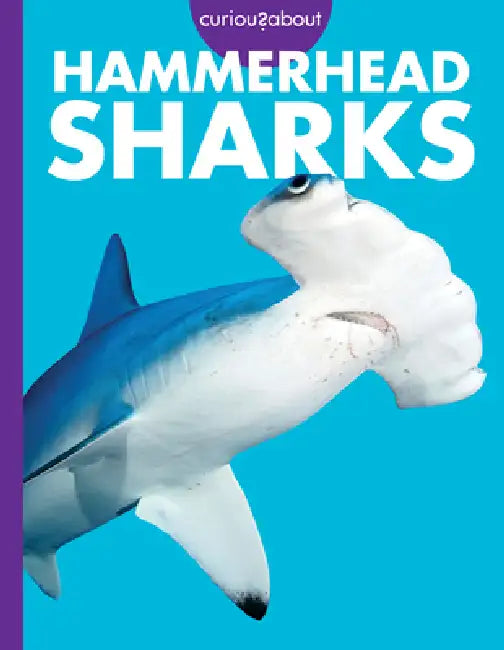 Buy Curious about Hammerhead Sharks (English, Monika Davies) Online at Best Price - BookBajar