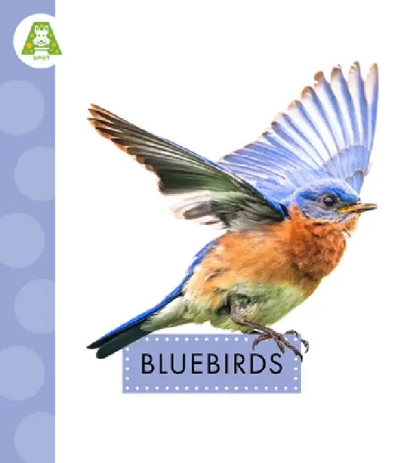 Buy Bluebirds (English, Anastasia Suen) Online at Best Price - BookBajar