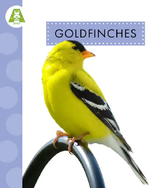 Buy Goldfinches (English, Anastasia Suen) Online at Best Price - BookBajar
