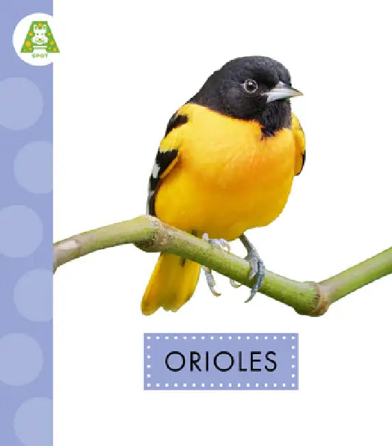 Buy Orioles (English, Anastasia Suen) Online at Best Price - BookBajar