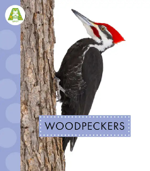 Buy Woodpeckers (English, Anastasia Suen) Online at Best Price - BookBajar